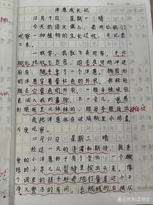 天下奇闻趣事大全300字，天下奇闻有哪些？  第4张