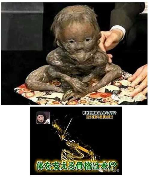 水猴子到底是什么？水猴子到底是什么动物？  第3张