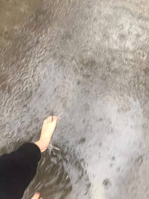 上蔡40天天气预报，上蔡四十天天气预报？  第3张