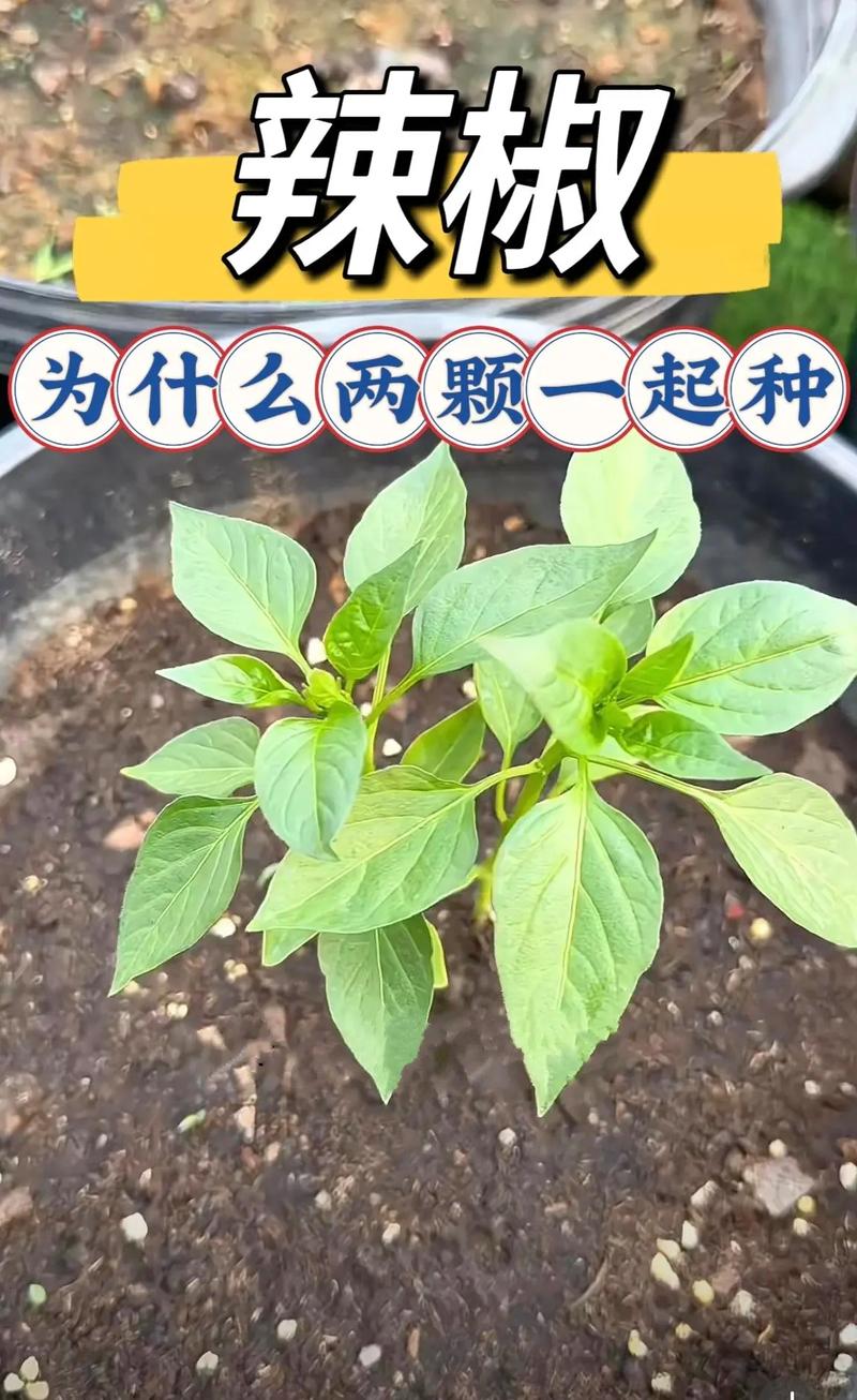 河南方城县天气预报，天气方城天气？  第1张