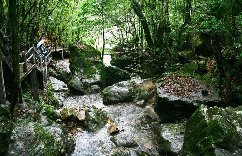 泰顺星期四天气预报，周六泰顺天气预报？  第6张