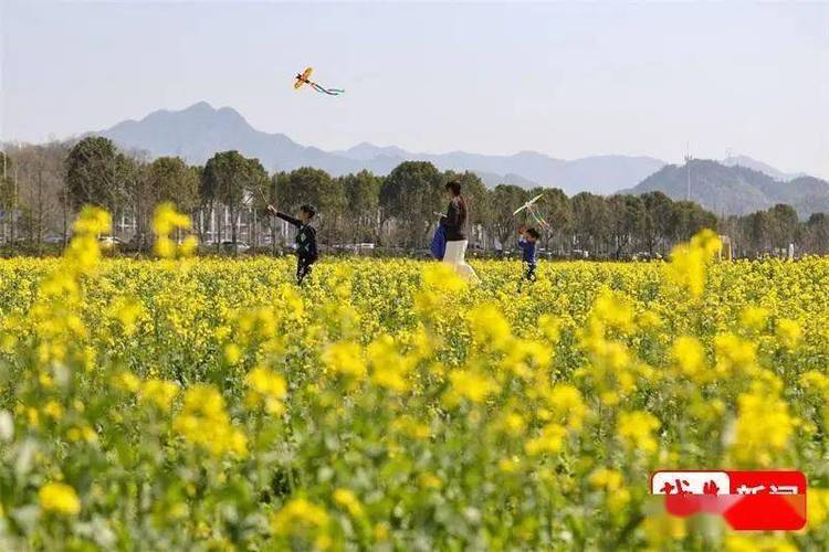 柯桥天气预报40天？柯桥天气70天？  第1张