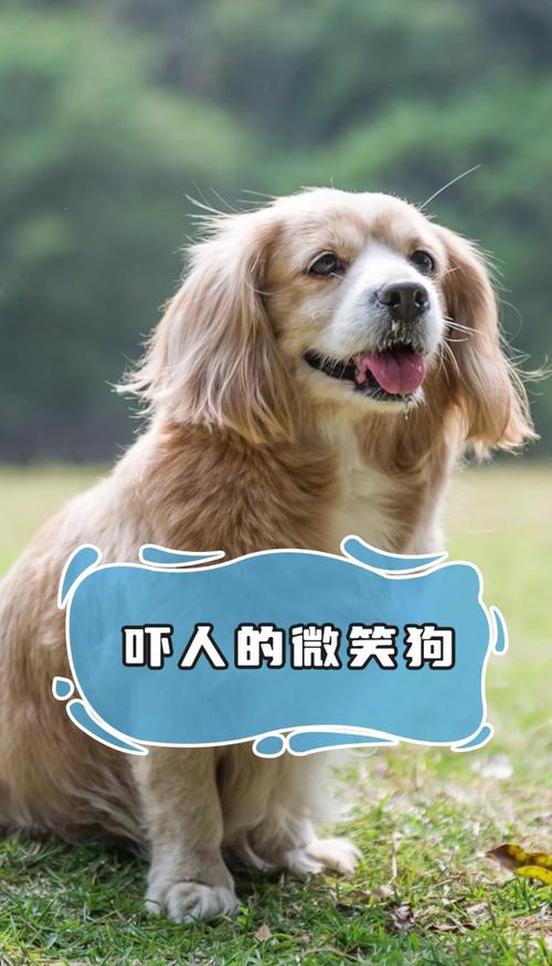 世界前十禁止看的图片？世界前十禁止恐怖照片 国外？  第6张