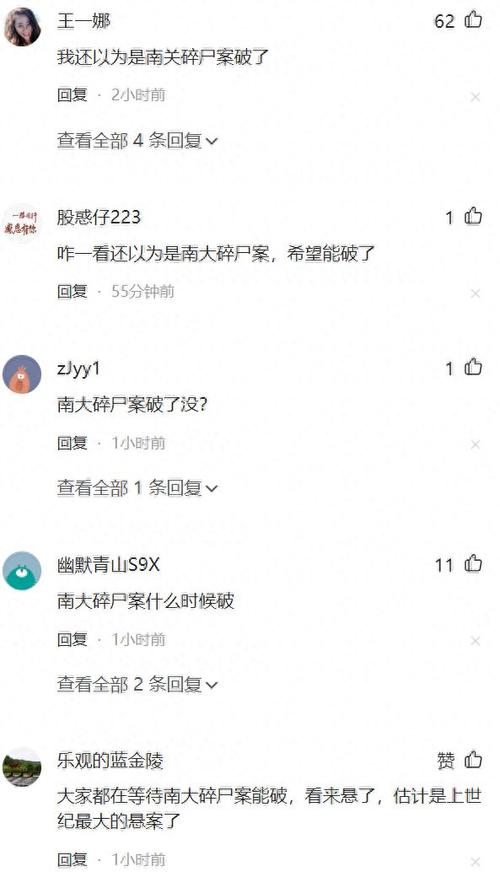 南京碎尸案凶手是谁，南京碎尸案推理？  第5张