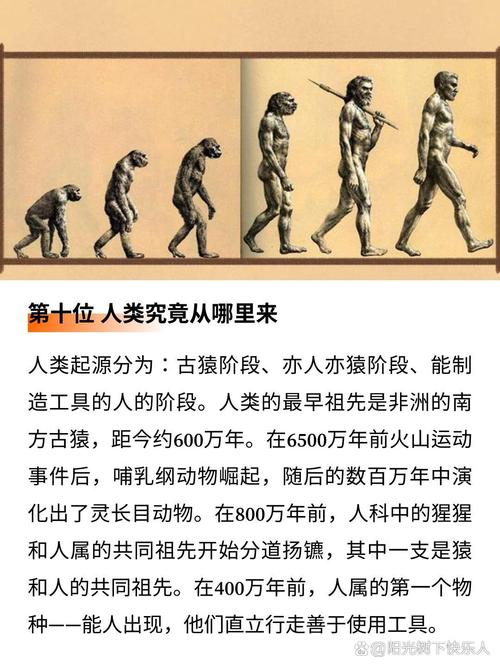 世界有几个未解之谜，世界有几个未解之谜真实事件？  第6张