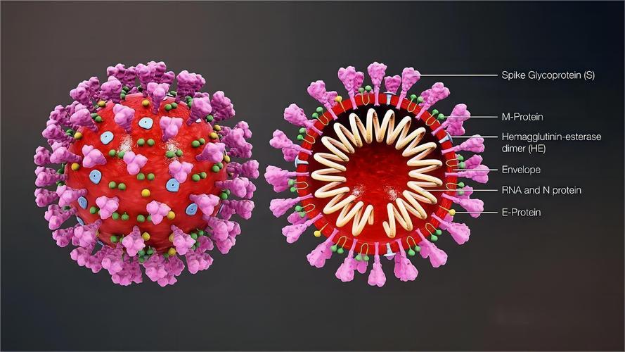 28种远古病毒？28种远古病毒丧尸？  第3张