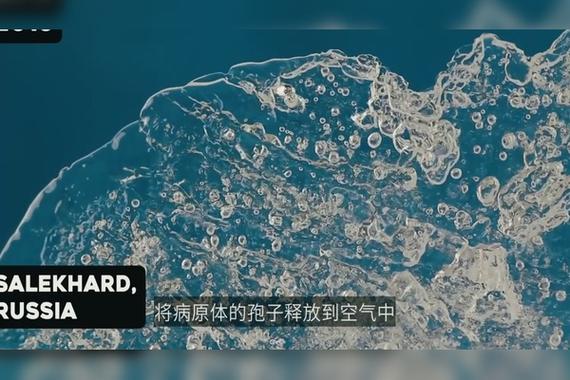 28种远古病毒？28种远古病毒丧尸？  第5张