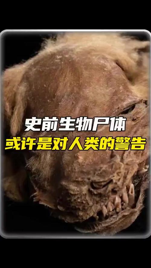28种远古病毒？28种远古病毒丧尸？  第6张