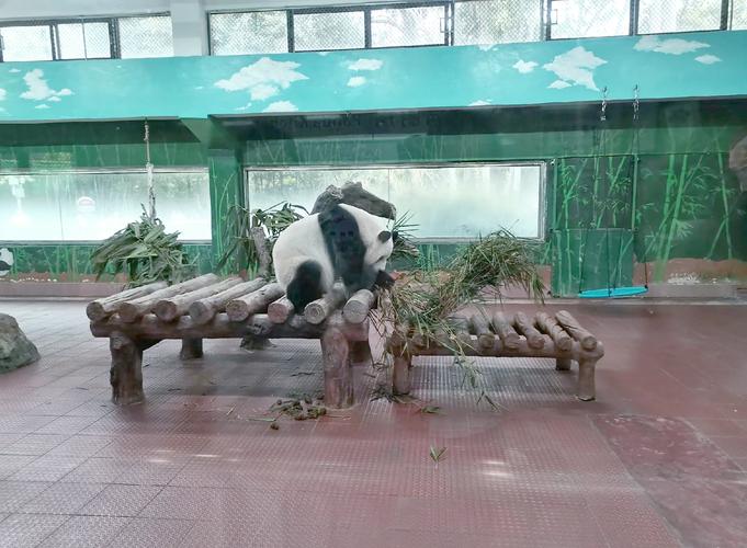 西安秦岭事件处理结果，西安秦岭事件处理结果如何  第6张