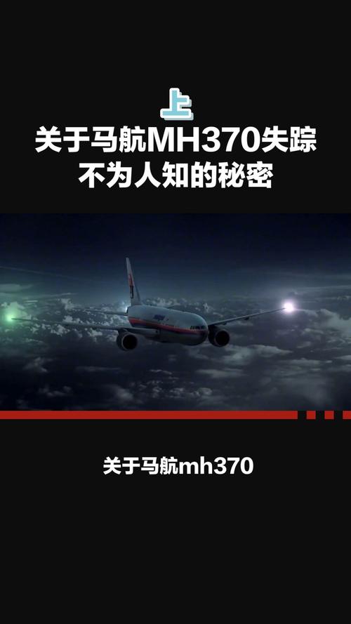 马航真相大白，马航亲历者讲述  第4张