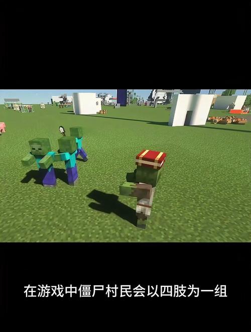 僵尸直接把村民打死了，僵尸袭击村民？  第3张
