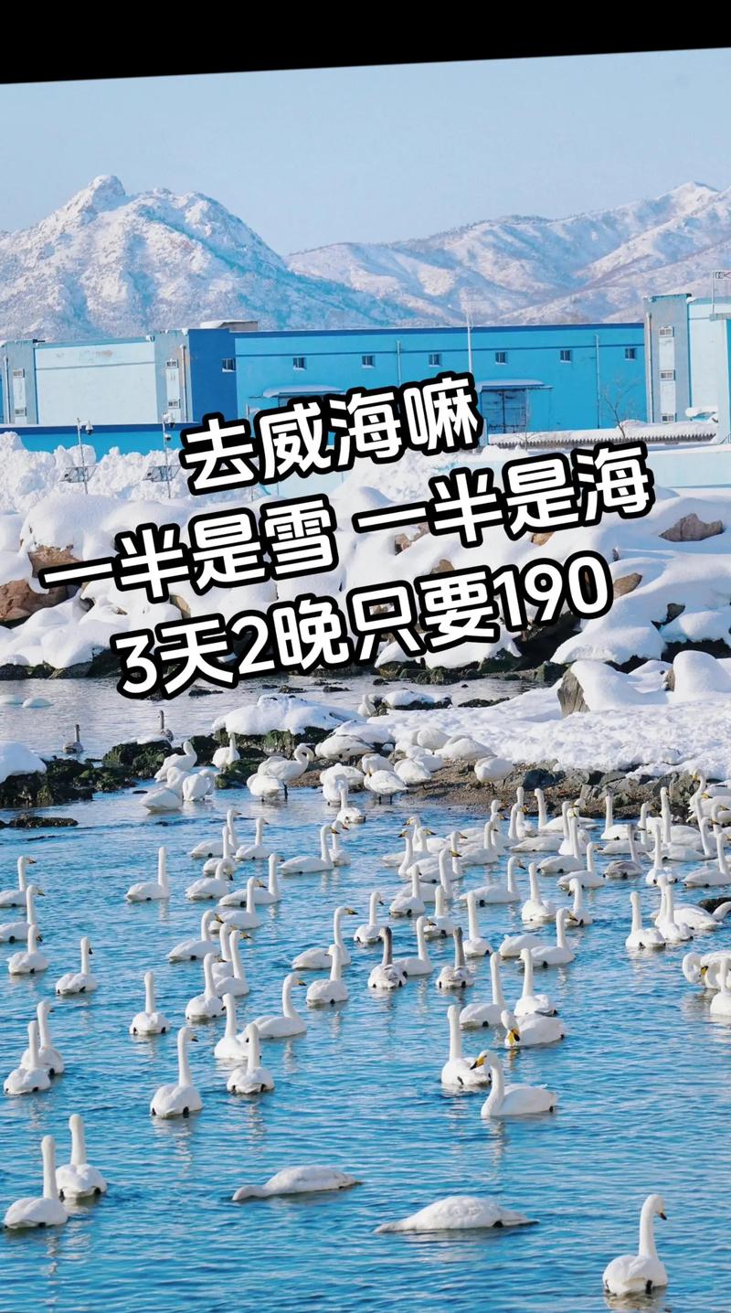 石家庄天气预报米胖，天气预报石家庄天气预报一周？  第4张