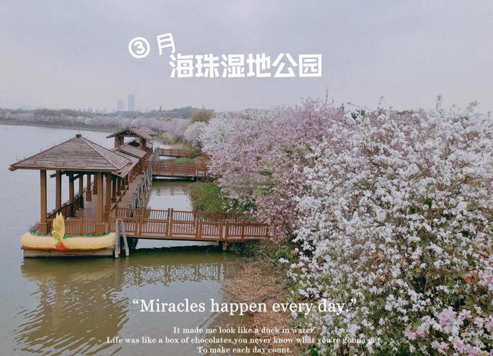 广州海珠湖天气预报，广州海珠天气24小时详情  第2张
