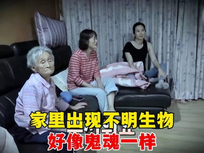 为什么电梯容易闹鬼，为什么电梯一般晚上爱闹鬼  第2张