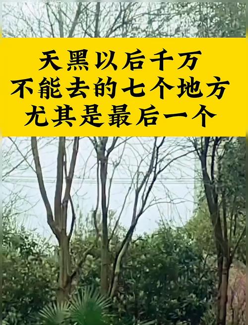 为什么电梯容易闹鬼，为什么电梯一般晚上爱闹鬼  第3张