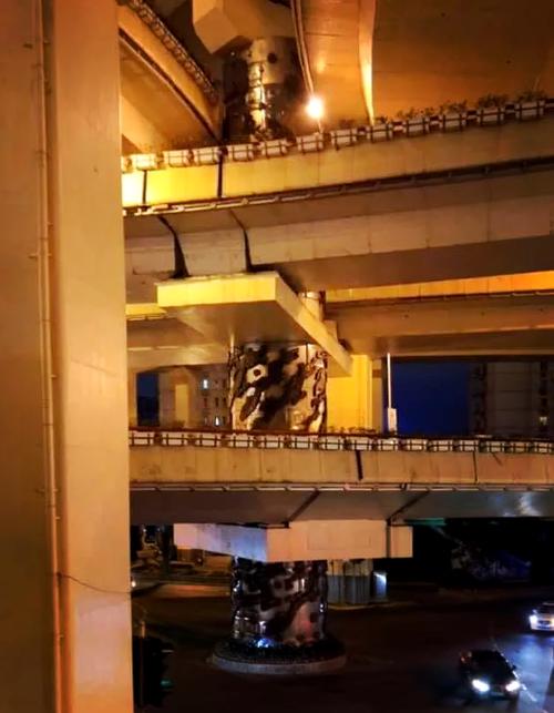 上海龙柱事件是真的吗？上海就龙柱？  第2张