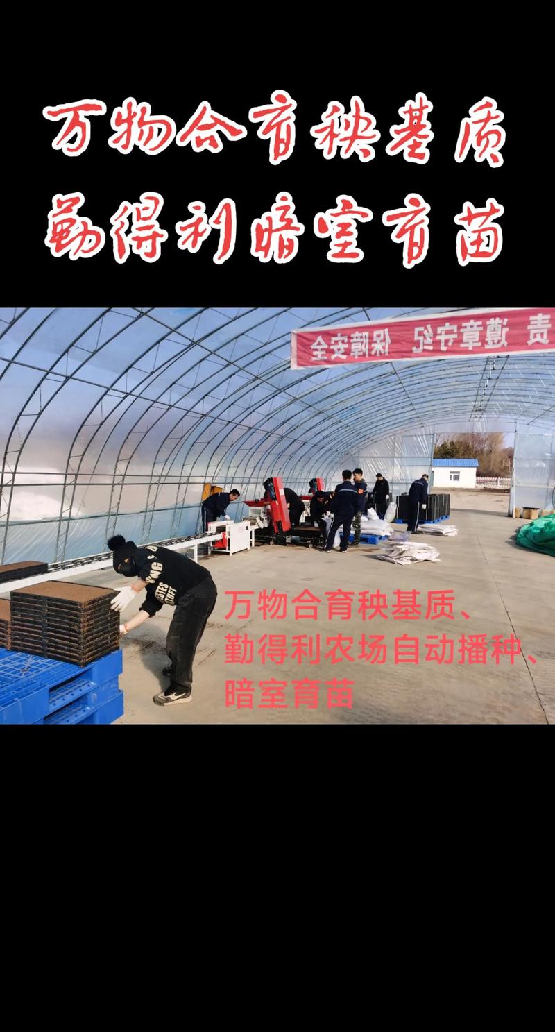 黑龙江省建三江天气？农垦建三江天气预报？  第1张