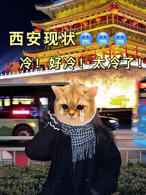 镇巴天气预报30天，镇巴天气预报30天查询？  第2张