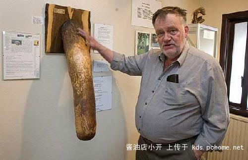 中国象人族，象人族的  第2张