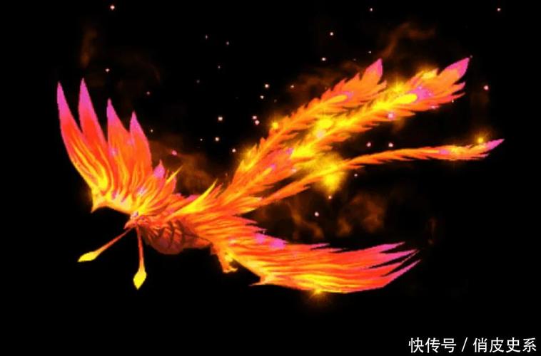 世界上有凤凰吗？世界上有凤凰吗真实视频？  第5张