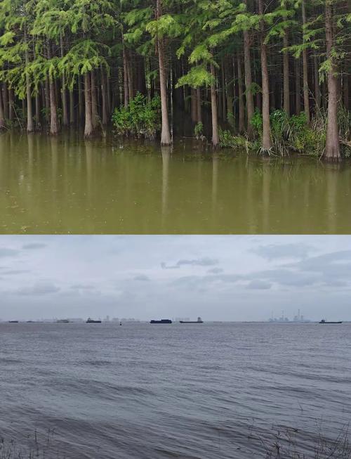 崇明12月天气预测，崇明12月天气预测查询？  第2张