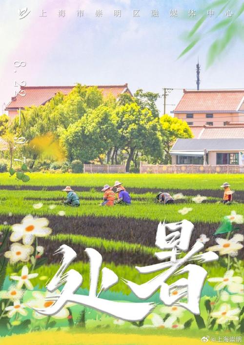 崇明12月天气预测，崇明12月天气预测查询？  第3张