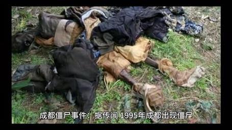 成都僵尸事件是怎么回事，成都僵尸事件 真相  第6张