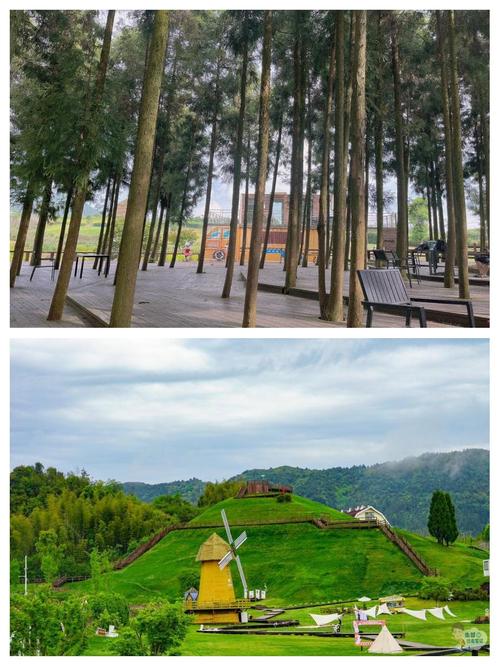 泰顺天气45天预报？泰顺天气45天预报最新？  第5张