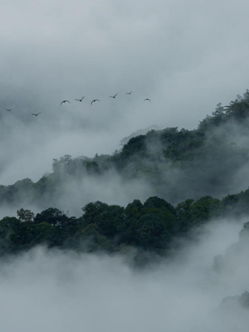 青城山天气成都天气，成都青城山景区天气预报？  第4张
