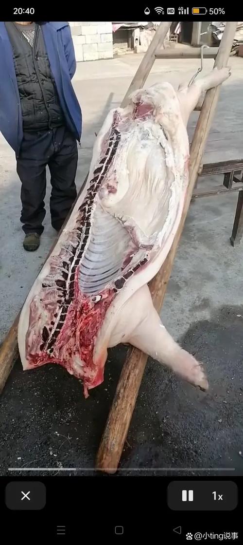 马家湾加油站诡异是真是假？马家山加油站？  第4张