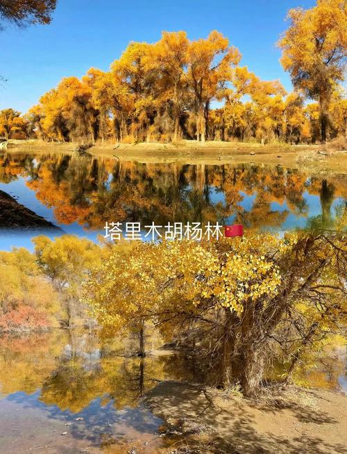 轮台天气预报穿什么，轮台天气预报15天查询  第1张