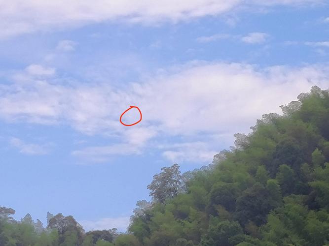 真正的飞碟图片，真正的飞碟图片 外星人？  第5张