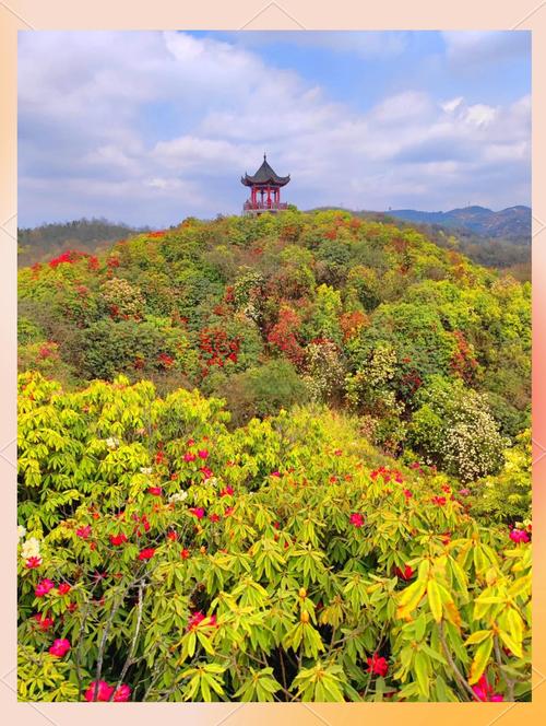奉节县小时天气预报，奉节天气24小时天气  第3张