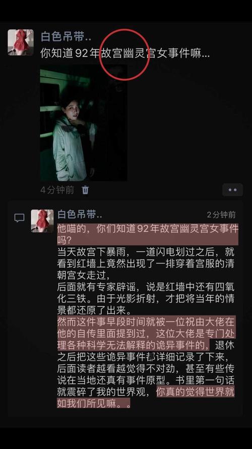 1992年北京故宫灵异事件，1992年游人拍到的北京故宫灵异事件宫女照片  第3张