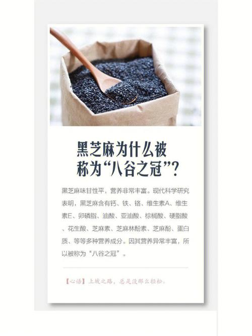 传说的故乡芝麻女，传说的故乡芝麻女是哪一集  第3张