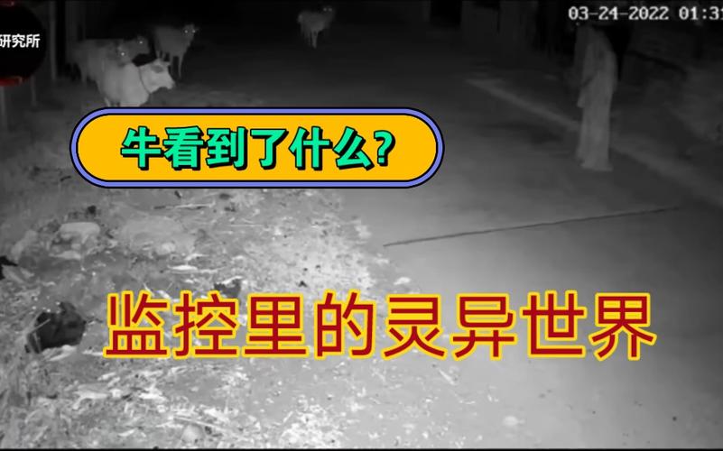 世界上真实发生过的灵异事件？世界上灵异的事情真的存在吗?？  第3张