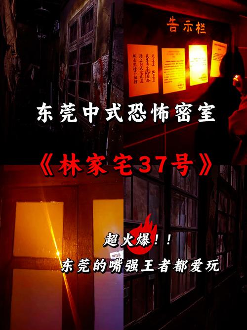 林家宅37号真实事件是真的吗，林家宅37号存在吗？  第3张