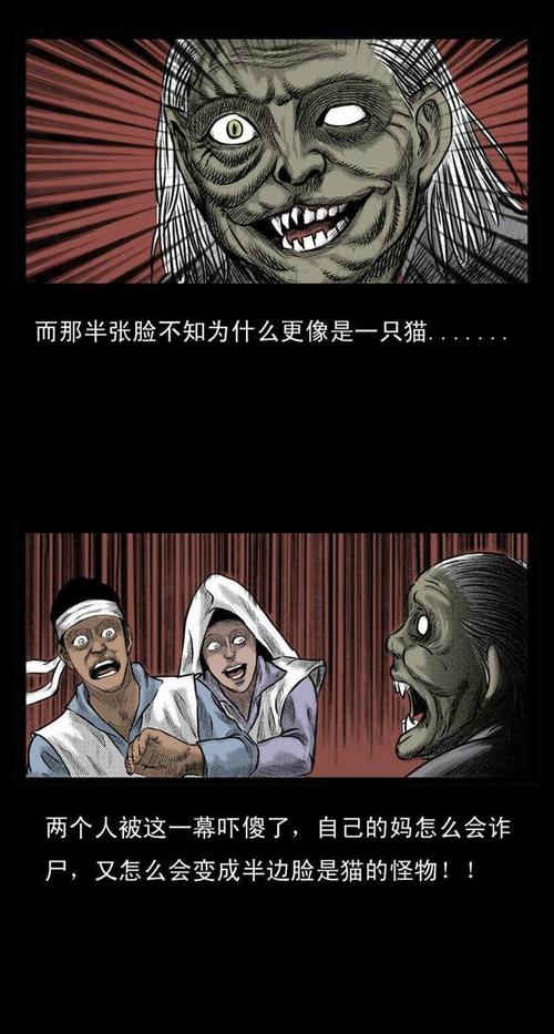 1995年猫脸老太太，1955猫脸老太太？  第1张
