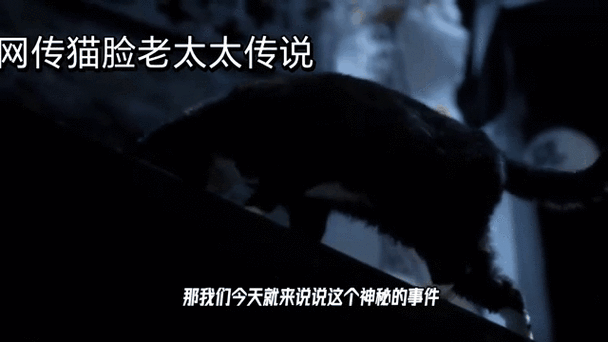 1995年猫脸老太太，1955猫脸老太太？  第2张