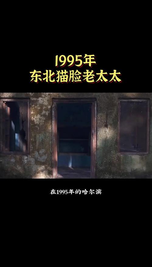1995年猫脸老太太，1955猫脸老太太？  第5张