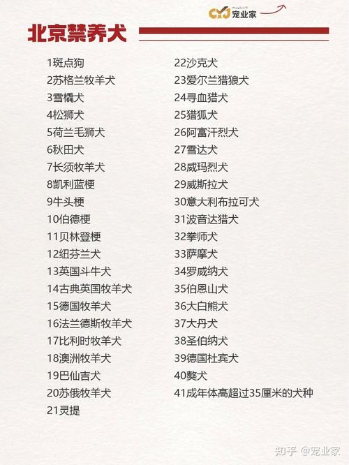 中国前十禁犬，中国前十禁犬家养  第2张