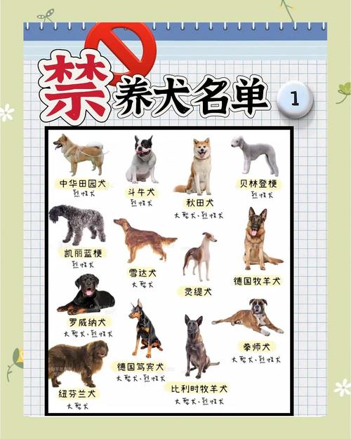 中国前十禁犬，中国前十禁犬家养  第4张