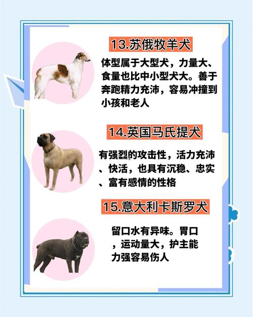 中国前十禁犬，中国前十禁犬家养  第5张