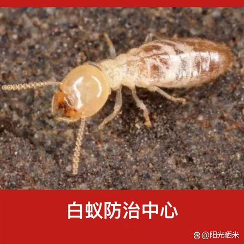 吉林省龙井天气预报，吉林省延边州龙井市十五天天气预报？  第2张