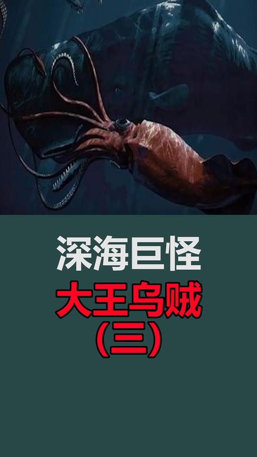 抹香鲸vs大王乌贼真实视频，我想看抹香鲸和大王乌贼大战？  第5张