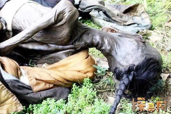 美国是否发生了丧尸事件，美国是否发生了丧尸事件呢  第6张