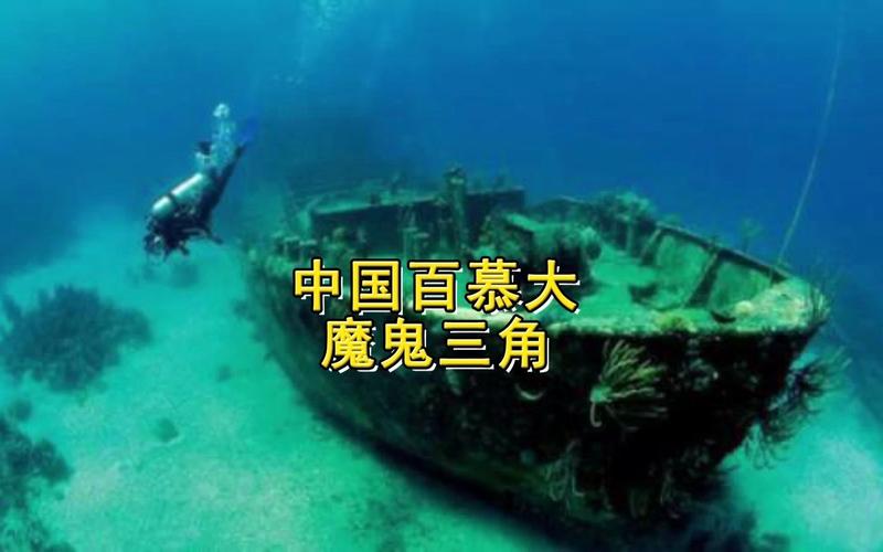 中国黑竹沟百慕大三角之谜？黑竹林百慕大？  第1张
