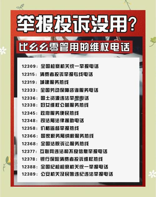 鸡泽县天气预报30，鸡泽县天气预报48小时  第1张