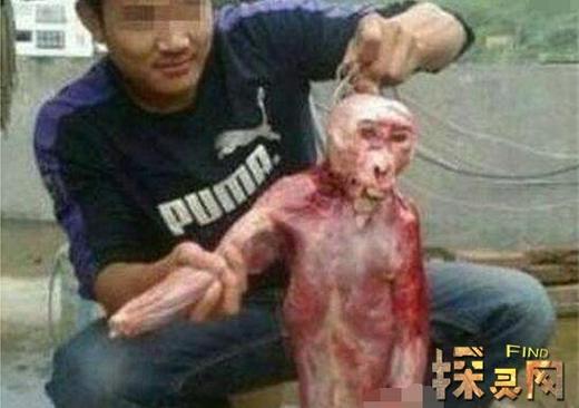 广东抓到一只水鬼视频？广东抓到一只水鬼视频大全？  第4张
