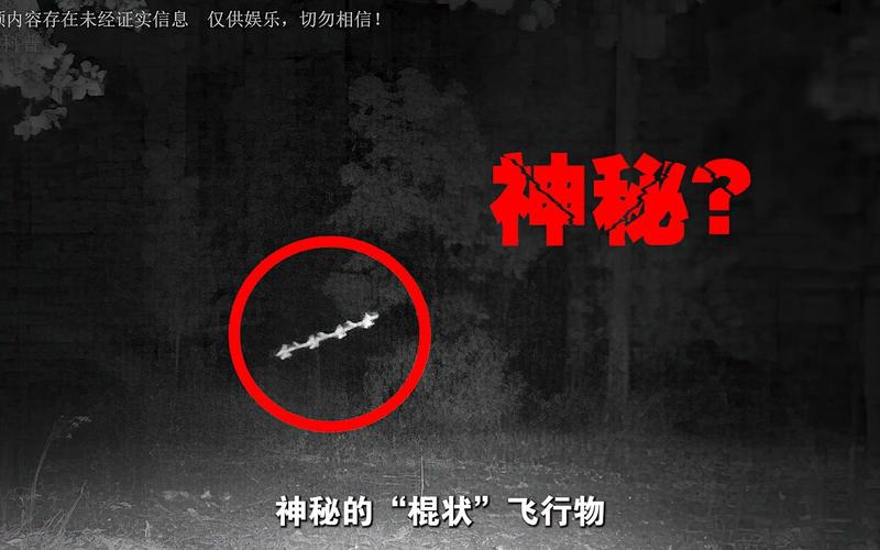 前十神秘生物飞棍，前十神秘生物之一？  第3张
